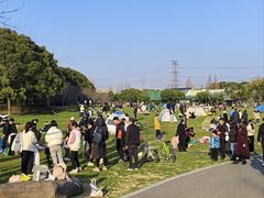 -昆山城市生态森林公园