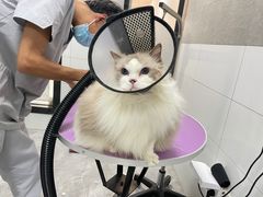 -贝康宠物医院·犬猫全科·小动物特色诊疗中心(东环路店)
