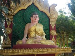 -瑞丽独树成林风景区