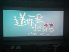 -万达影城(东西湖中心广场XLAND店)
