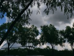 -哈尔滨大剧院
