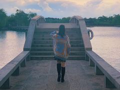 -杭州湾海上花田景区
