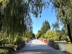 -上海滨江森林公园