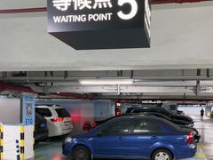 -上海浦东国际机场T1航站楼-P1停车场