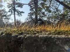 -沈阳市东陵公园