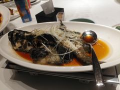 -同庆楼(滨湖万达广场店)