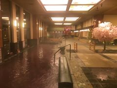 -大江户·温泉洗浴(浑南店)