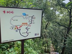 -鲁山国家森林公园