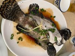 -源海渔村·现捞海鲜(大角湾店)