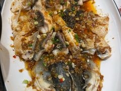 -龙悦湾酒家·八阵鱼生·渔人码头店