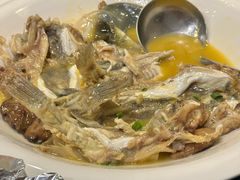 河豚鱼-9号小厨师(端平桥店)