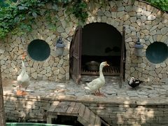 -南宫五洲植物乐园