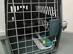 -半岛宠物医院24小时(白果林店)