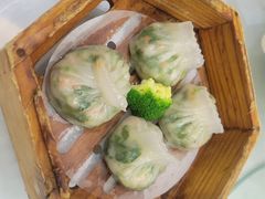 晶莹香茜饺-華苑喜宴(美林广场店)
