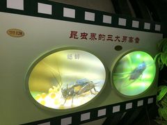-上海昆虫博物馆