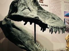 -自贡恐龙博物馆