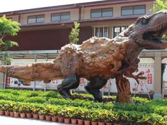 -呀诺达热带雨林