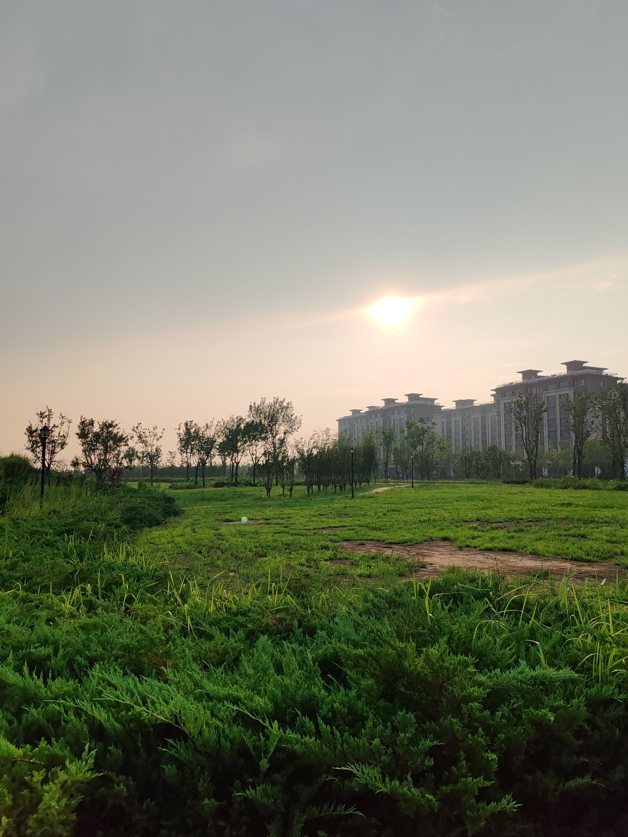 清晨的自然气息