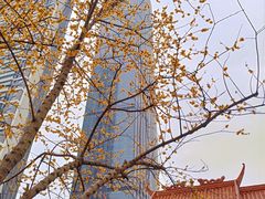 -宝岛公园