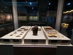 -安阳博物馆