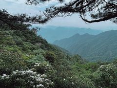 -三清山风景名胜区