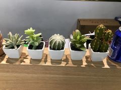 -董小西的凉皮和椒麻鸡(三元桥店)