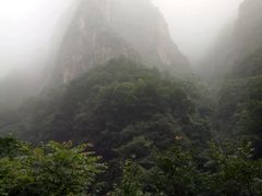 -抱犊崮国家森林公园