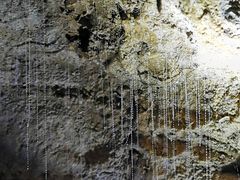 -怀托摩萤火虫洞