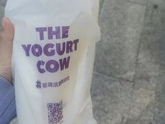 -一只酸奶牛(丹尼斯大卫城店)