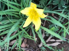 -北京鹫峰国家森林公园