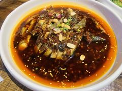 凉拌鸡-铁公鸡·四川料理(天环广场店)