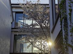 -广富林宰相府酒店·水云间