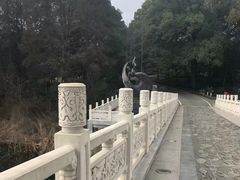 -东湖落雁景区