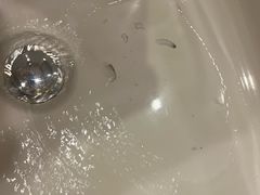 -三清山希尔顿度假酒店