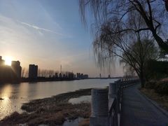 -江苏省泗阳县成子湖旅游度假区综合服务中心-停车场