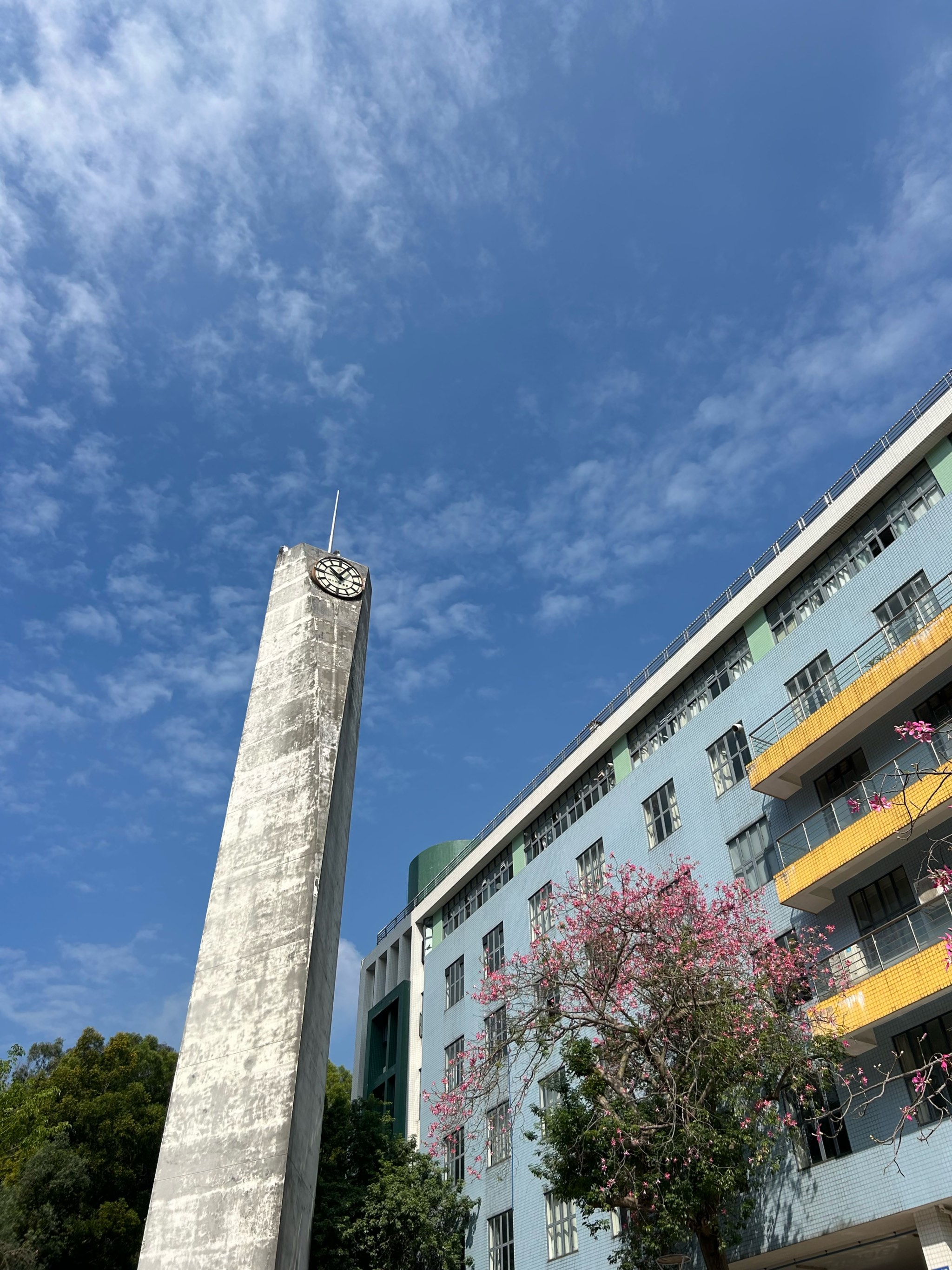 校园风景图名称图片