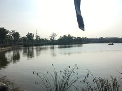 -上海长兴岛郊野公园