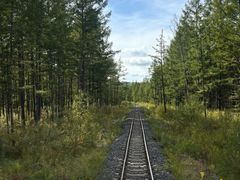 -莫尔道嘎国家森林公园