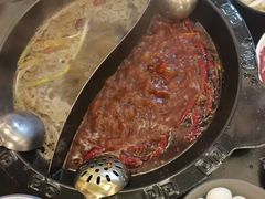 -重庆川渝肥妹火锅