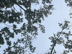 -荔枝公园(福田区)