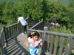 -帽儿山国家森林公园