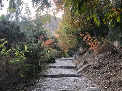 -北京鹫峰国家森林公园