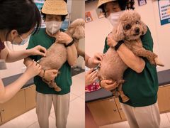-美联众合动物医院·24h京西诊疗中心