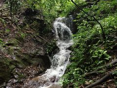 -莫里热带雨林景区