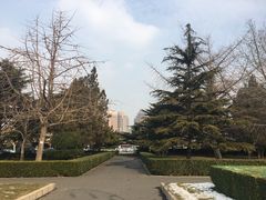 -大连人民广场
