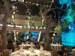 -桂满陇·海市蜃楼·黑金(国金店)