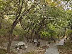 -金龙寺国家森林公园