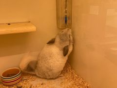 -龙猫仔乐园(惠福东路店)