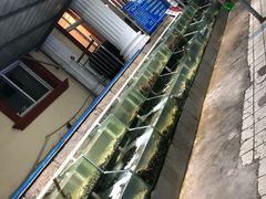 -海岸风情蒸汽海鲜自助餐厅(家宴金手勺店)