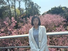 -狐尾山公园